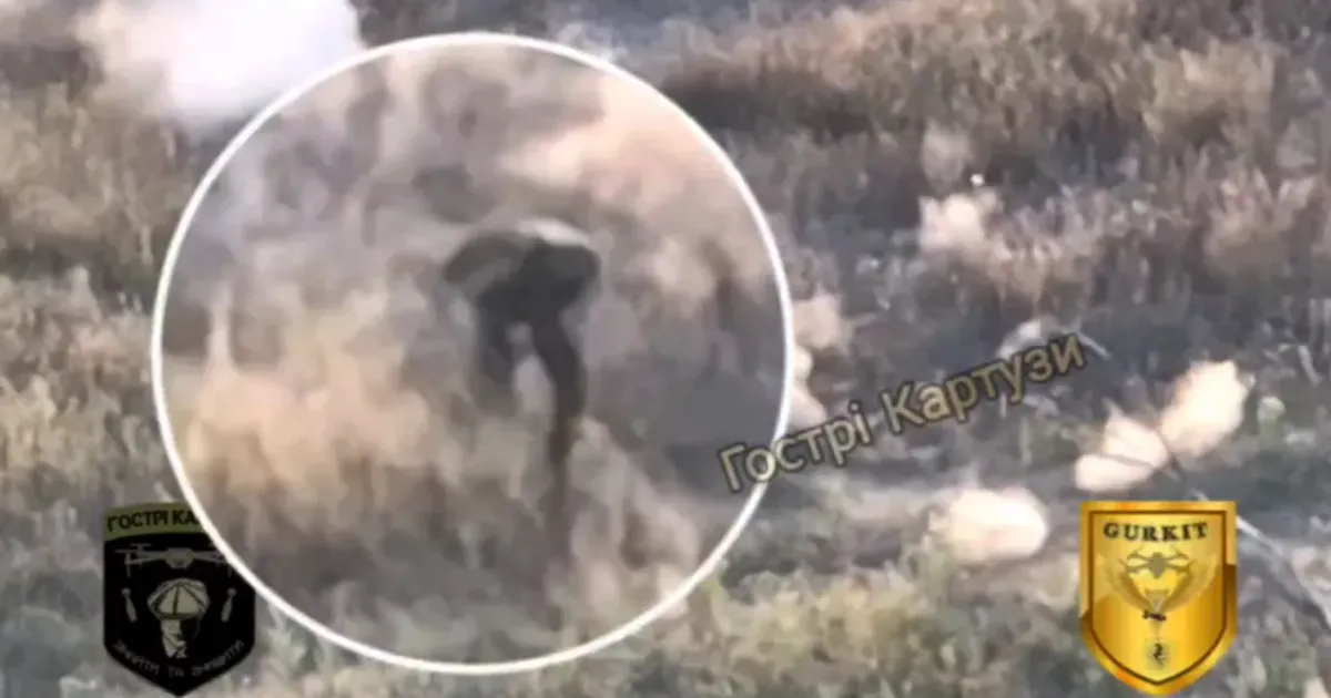 Скриншот з відео підрозділу "Гострі картузи" НГУ В районі Глибокого дронарі змусили окупантів бігати поодинці на порталі Gromada Group