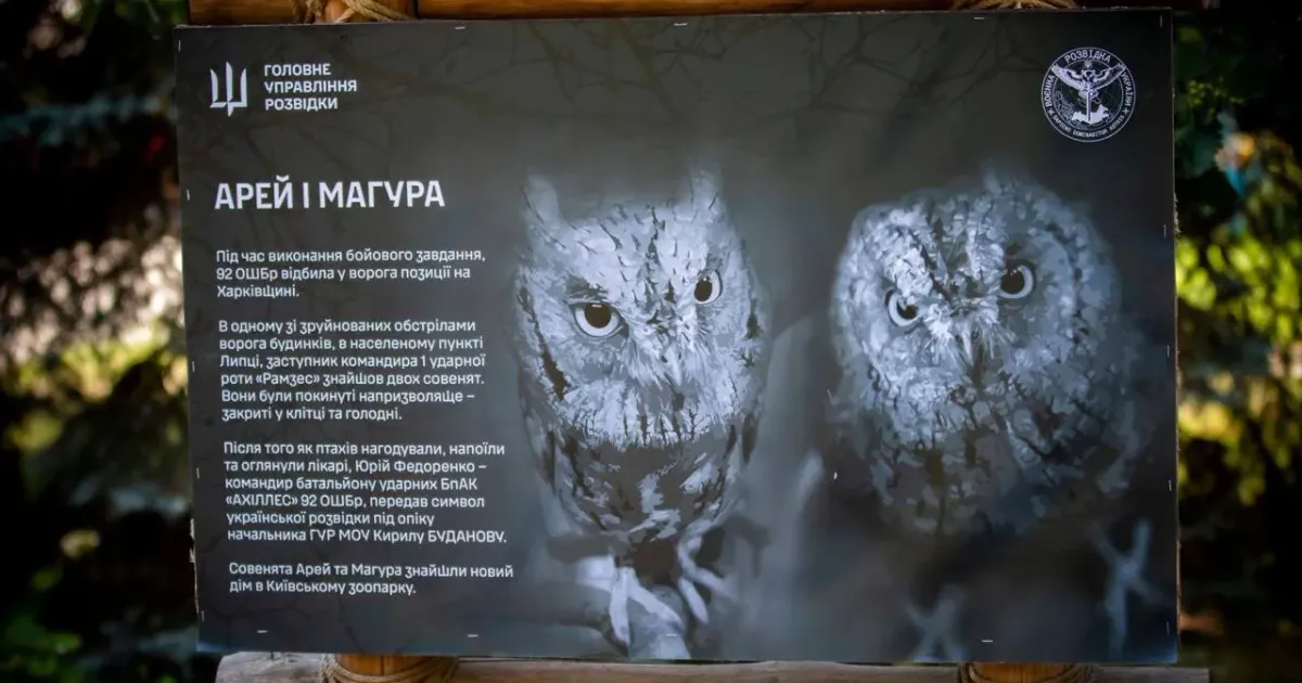 Фото: ГУР МО України Сови-розвідниці ГУР з Липців стали улюбленцями соцмереж на порталі Gromada Group
