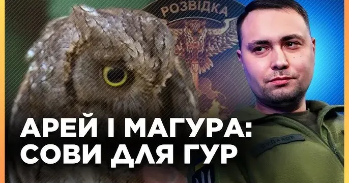 Заставка до одного з відео Сови з Липців та ГУР — головна «новина про пандочку» цього вікенду в Україні на порталі Gromada Group