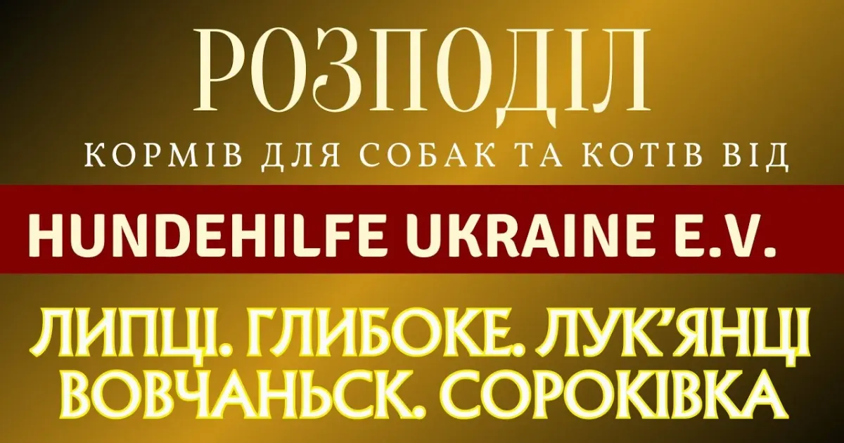 Заставка з відео Woof Division Липецькій громаді продовжує допомагати Woof Division на порталі Gromada Group
