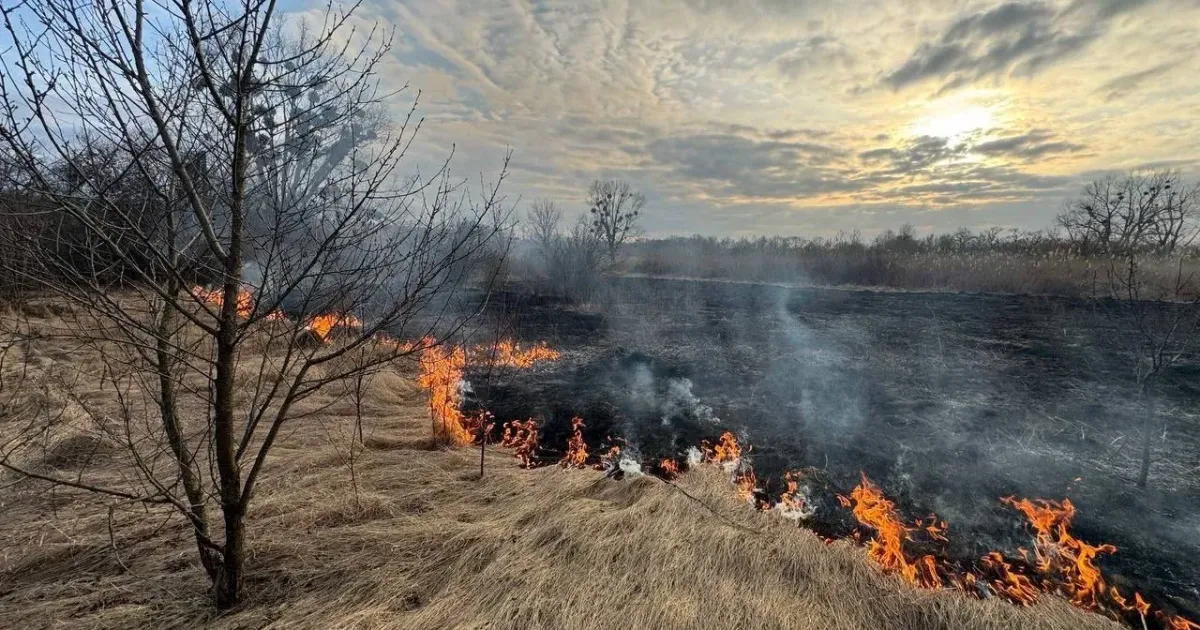 Фото: Харківське районне управління ГУ ДСНС України Липецькі пожежні змушені регулярно гасити палаючу суху рослинність на порталі Gromada Group