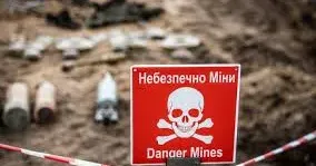 Зображення ілюстративне Чоловік підірвався на міні "пелюстка" у Борщовій на порталі Gromada Group