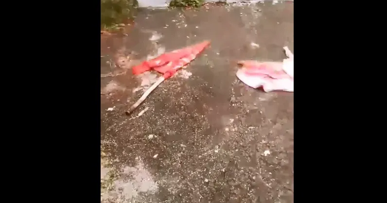 На відео, поширеному "Суспільне Харків" зафіксовано, як захисник України зриває червону ганчірку, встановлену російськими окупантами на Братській могилі у селі Липці.