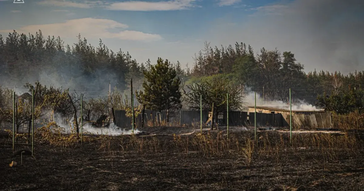Фото: Головне управління ДСНС України в Харківській області Полум’я охопило 20 га: у Черкаських Тишках вогнеборці гасили масштабну пожежу на порталі Gromada Group