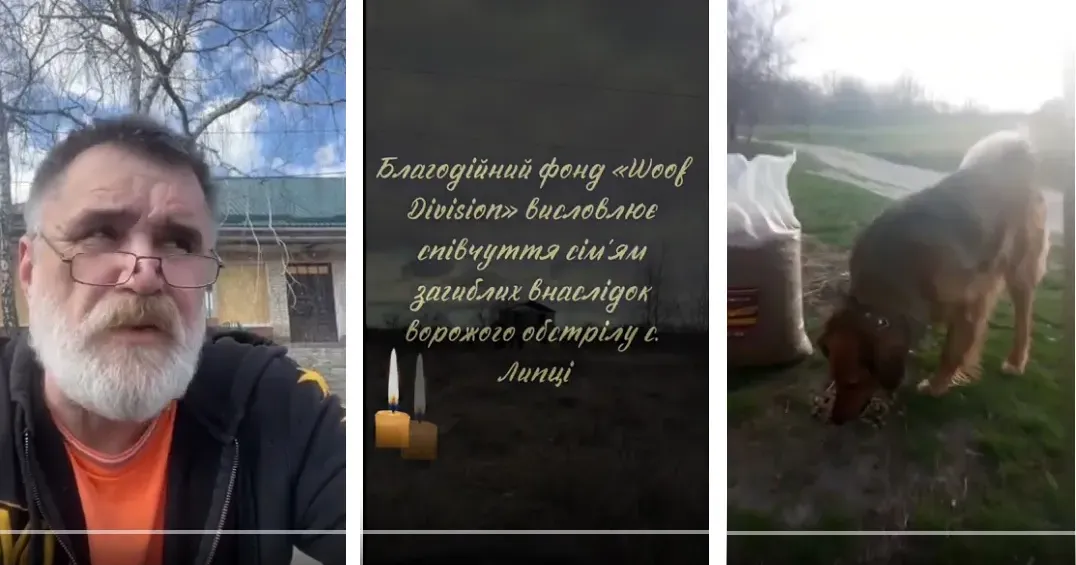 Скориншоти з відео Woof Division Про допомогу Липецькій громаді вкотре розповіли волонтери з Woof Division на порталі Gromada Group