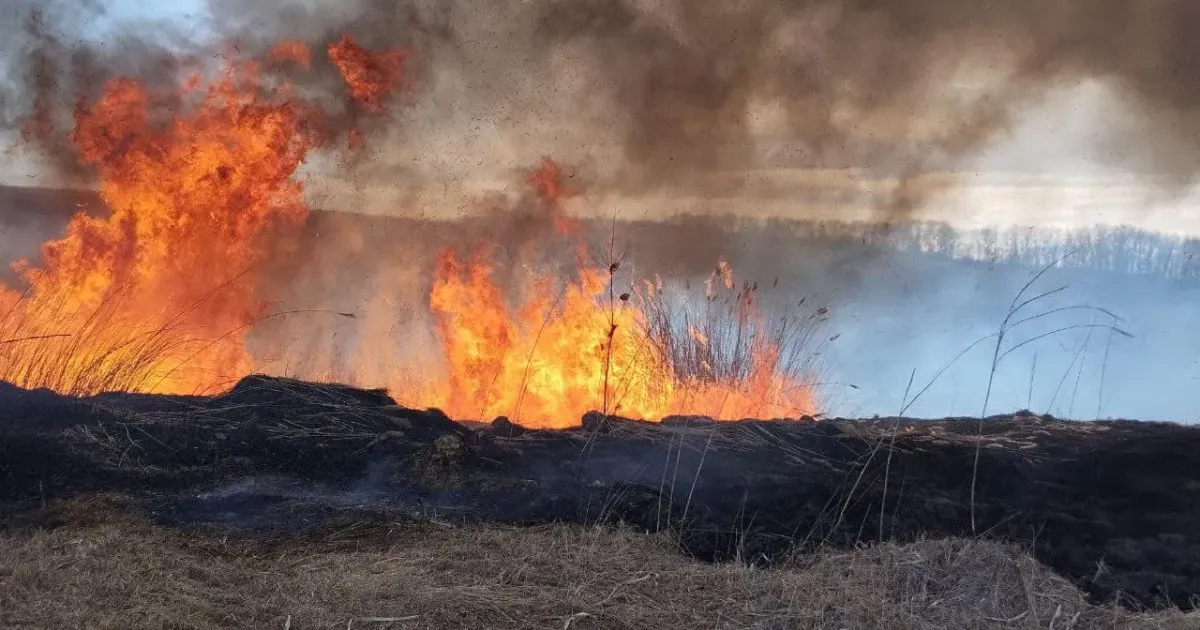 Фото: Харківське районне управління ГУ ДСНС України у Харківській області Випалювання території НЕ убезпечить її від вибухонебезпечних предметів на порталі Gromada Group