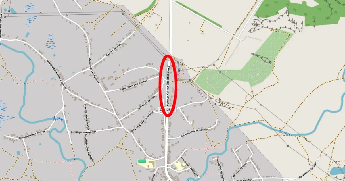 Скриншот фрагменту карти села Липці на ресурсі https://www.openstreetmap.org Нові назви вулиць у селах Липецької громади з’явились на Openstreetmap на порталі Gromada Group