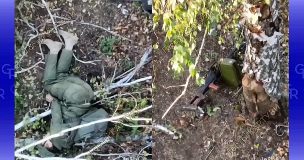 Головна світлина новини на сайті Gromada Group російського орка з «покемоном» ліквідували «Гострі картузи» під Липцями на порталі Gromada Group