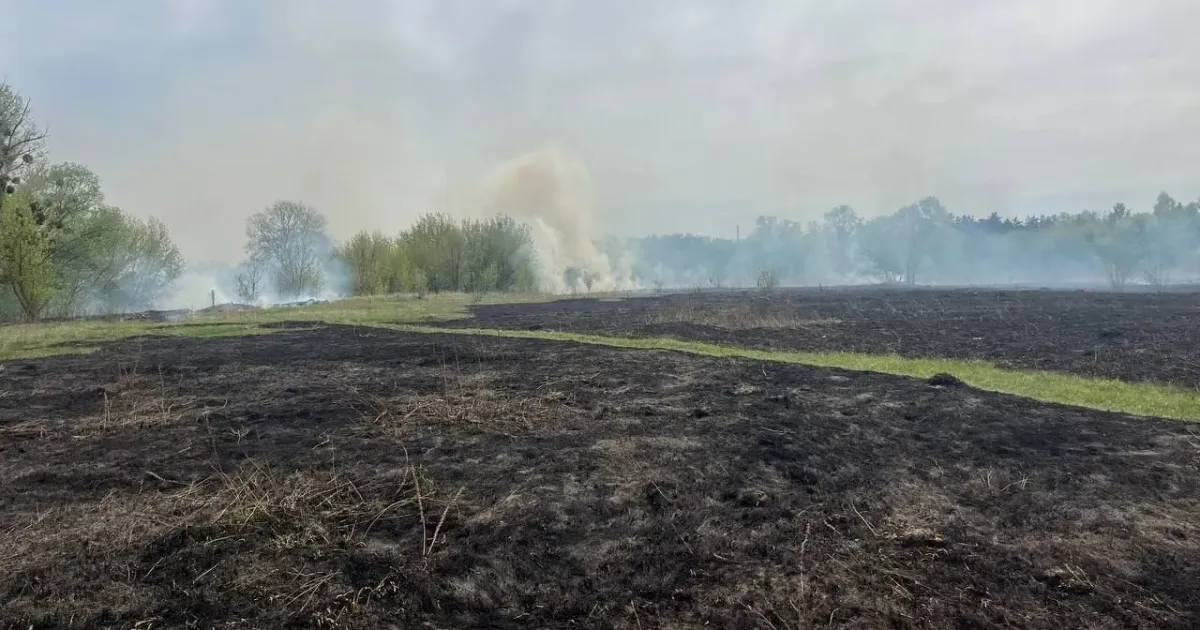 Фото: Харківське районне управління ГУ ДСНС України у Харківській області У Слобожанському пожежні гасили палаючу суху траву на порталі Gromada Group