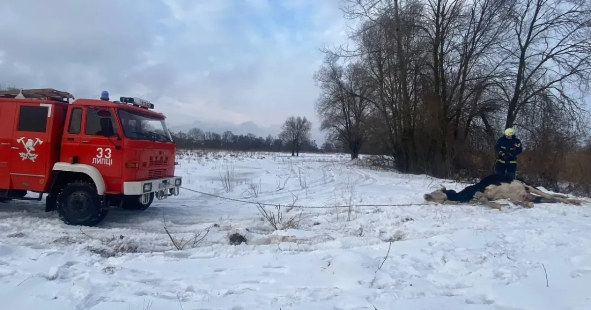 Фото: Харківське районне управління ГУ ДСНС України у Харківській області У Липцях під кригу провалилась свійська тварина на порталі Gromada Group