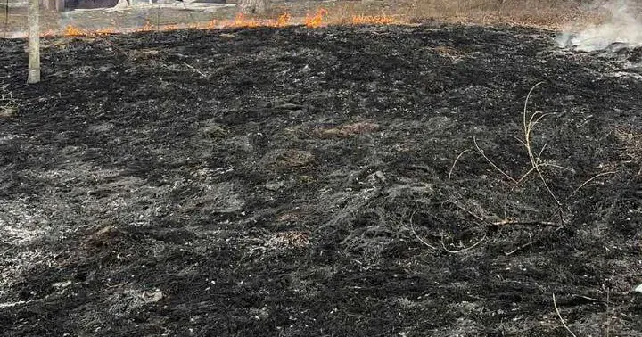 Фото ілюстративне Ворожий обстріл спричинив пожежу в Липцях 17 березня на порталі Gromada Group