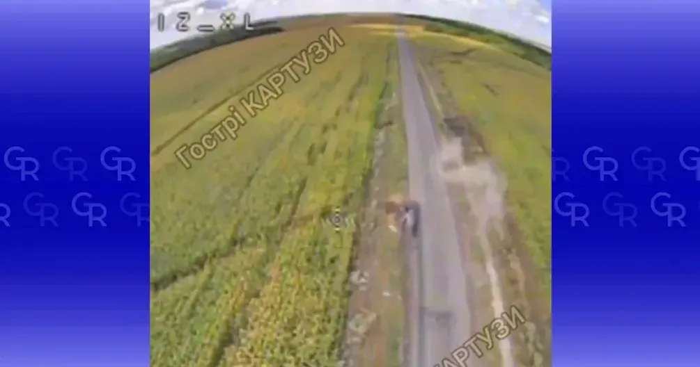 Скриншот з відео Вантажний «ухилянт» на Липеччині намагався сховатися «в кукурудзі» на порталі Gromada Group