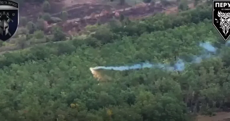 Скриншот з відео «Дракаріс!»: окупантів з Липецької громади випалюють дрони-дракони на порталі Gromada Group
