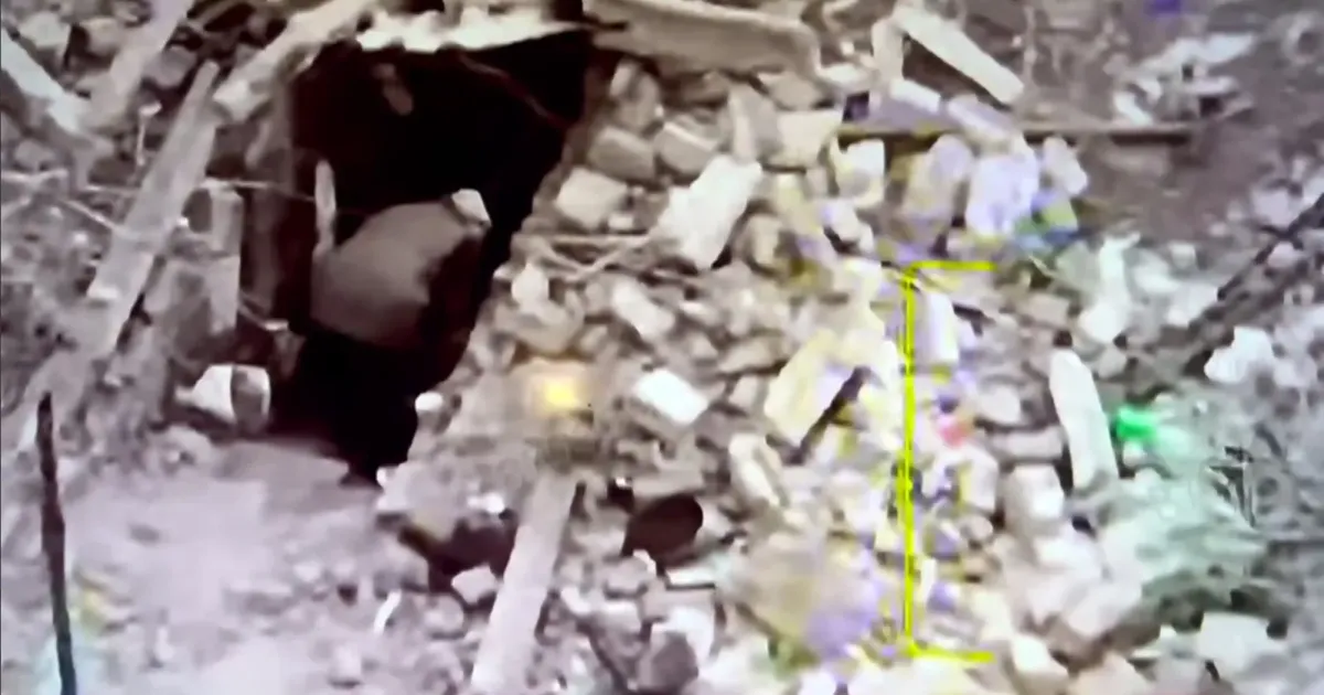 Скриншот з відео У Глибокому серед руїн живе жінка: українські військові намагаються їй допомогти на порталі Gromada Group