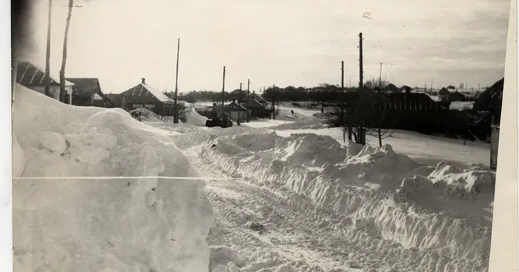 Унікальні світлини відомого липецького фотографа Віктора Маньковського, на яких зафіксовано зимові краєвиди Липців і Веселого від 1950-х до 1970-х років.