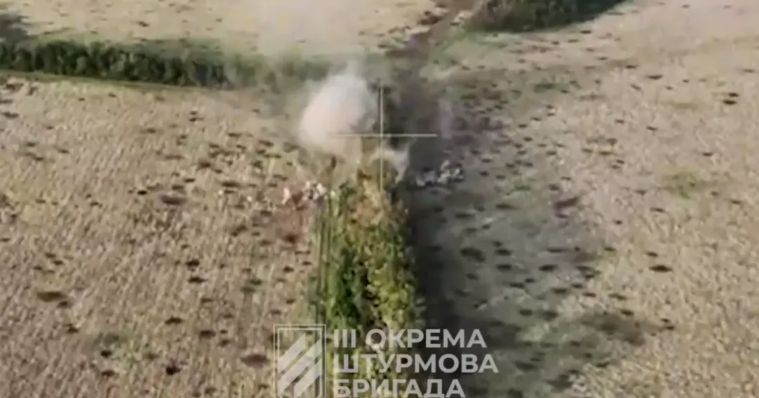 Скриншот з відео 3-тя окрема штурмова бриагада (telegram) Третя штурмова бригада знищує ворога на Харківщині (відео) на порталі Gromada Group