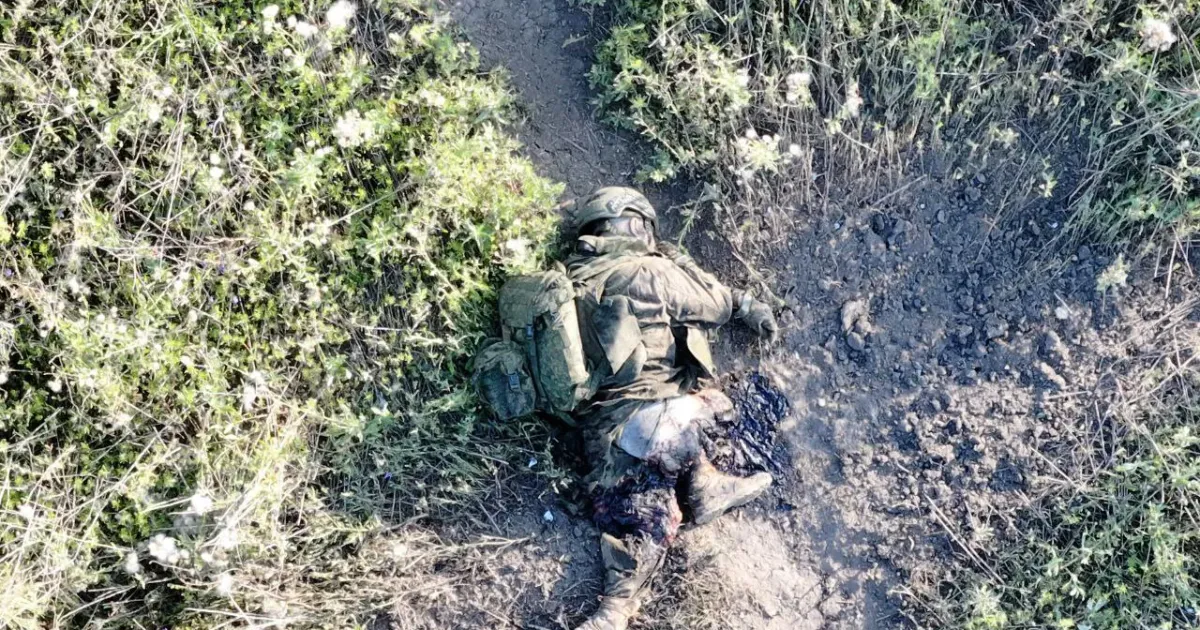 Фото: Підрозділ ударних БПЛА «Гострі картузи» Національної гвардії України Наміри окупантів в районі Липців ламають українські захисники на порталі Gromada Group