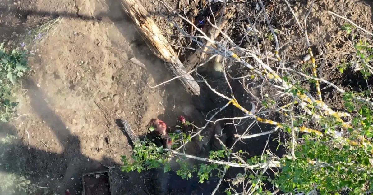 Скриншот з відео взводу БПЛА 22-го окремого мотопіхотного батальйону Окупанти посилено рвуться вглиб української землі: в районі Глибокого ворог активізував штурмові дії на порталі Gromada Group
