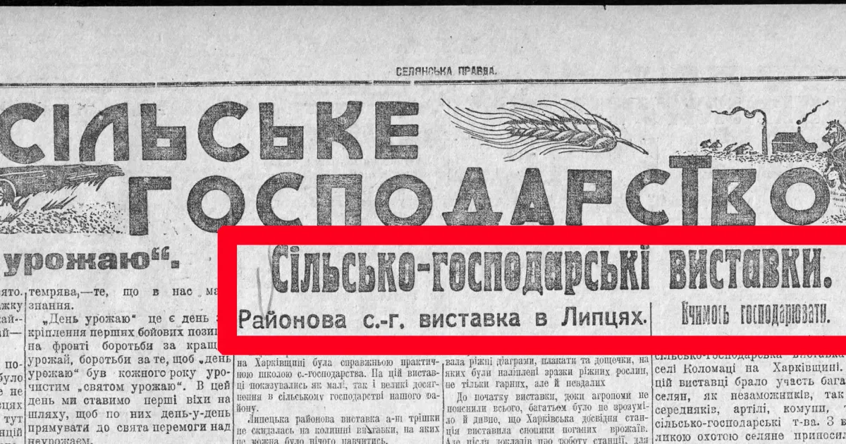 Цікаву статтю про районну сільськогосподарську виставку у Липцях, проведену у вересні 1924 року, опублікувала газета «Селянська правда». Тоді вже добре давались взнаки позитивні результати Нової економічної політики (НЕПу). На жаль, усього через кілька років більшовики згорнули перспективну економічну політику й насильно погнали селян до колгоспів, а у 1932—1933 роках й узагалі влаштували Голодомор.