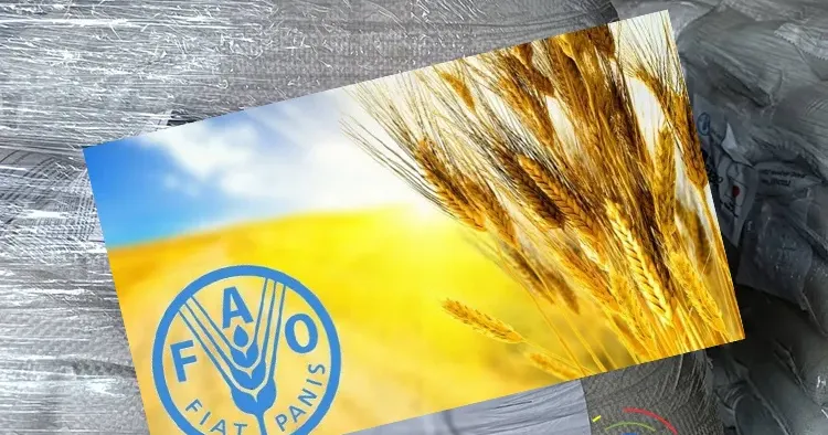 Відновити присадибне господарство, налагодити вирощування птиці та свиней допомагає Липецькій громаді Харківський обласний центр дорадництва.
Про програму доставки кормів для птиці та свиней до деокупованих громад Харківської області, про механізм подання заявок на їхнє отримання та механізм видачі місцевим мешканцям кореспонденту ЛИПЦІ Gromada Group розповіла керівниця організації Гапоник Світлана Володимирівна.