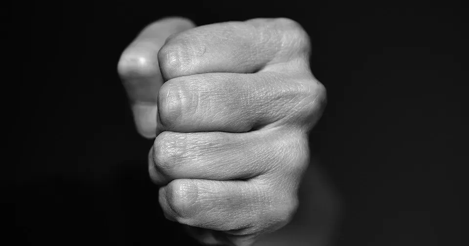 Житель селища Слобожанське Липецької громади вже не один рік тероризує інших мешканців. Чоловік тримає худобу, яку відпускає "на самовигул" чужими городами. На свободі його тварини не дають місцевим вільно переміщатися селом. Слобожанці неодноразово зверталися зі скаргами до місцевого голови, але той лише розводить руками. Які закони порушує власник великого господарства та чи можна його притягнути до відповідальності – читайте в матеріалі.