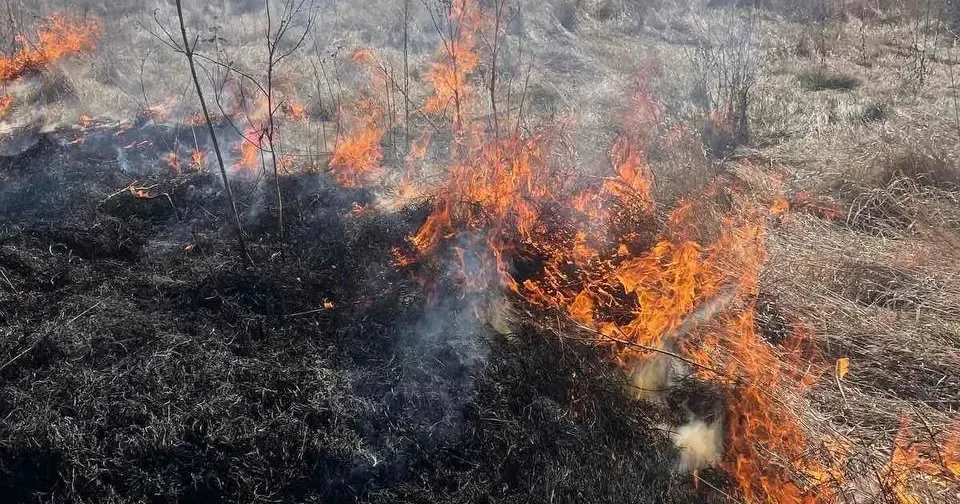 Фото: Харківське районне управління ГУ ДСНС України у Харківській області Пожежу в Слобожанському гасили липецькі пожежні на порталі Gromada Group
