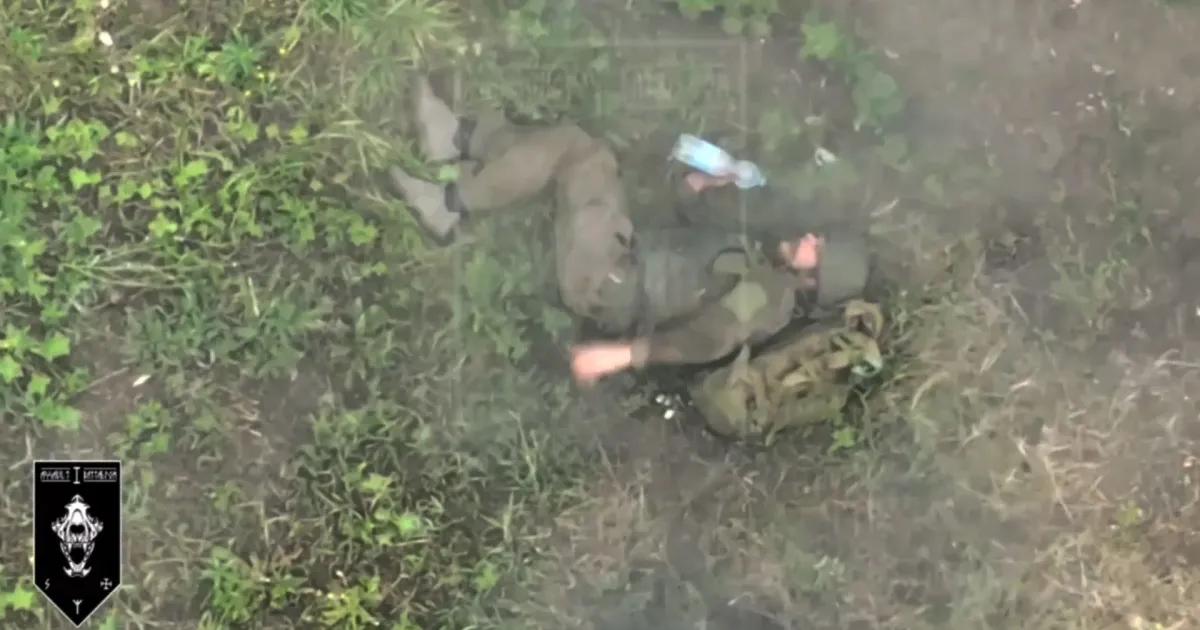 Скриншот з відео 1 штурмового батальйону 92 ОШБр На Липецькому відтинку окупанти зайняті перегрупуванням та евакуацією втрат на порталі Gromada Group