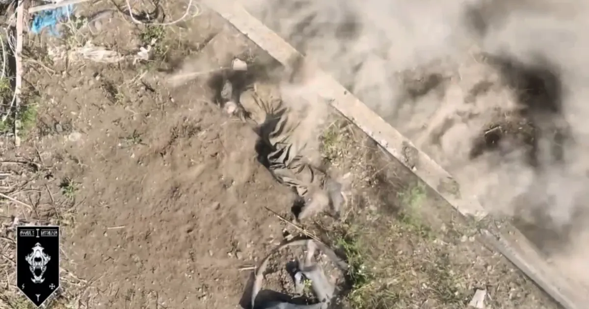 Скриншот з відео «Зловредные российские туловища» бігають по Глибокому: що з ними стається далі показали в 92-й ОШБр на порталі Gromada Group